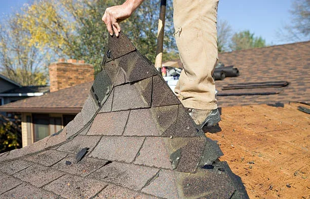 What are the most common causes of roof damage? in Hamilton and Waikato
